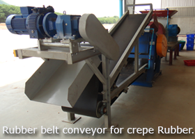 Rubber belt conveyor for Crepe Rubber.